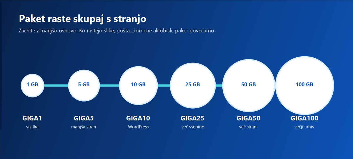Infografika izbire paketa glede na prostor, e-pošto, domene in rast strani